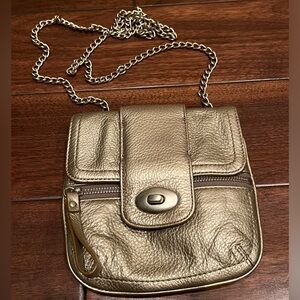 Banana Republic Metallic Gold Mini Crossbody
